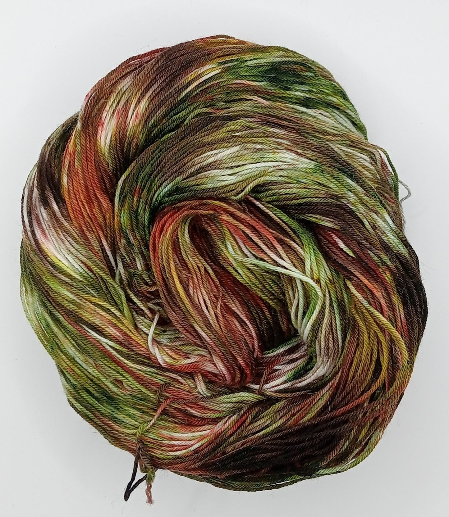 100G hand dyed Merino/Nylon luxury sock yarn - "Rustic Retreat"