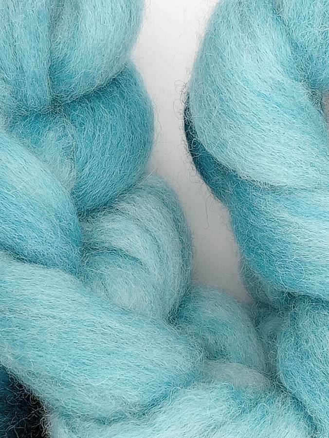 100G New Zealand hand dyed fibre combed top - "Squeal for Teal"
