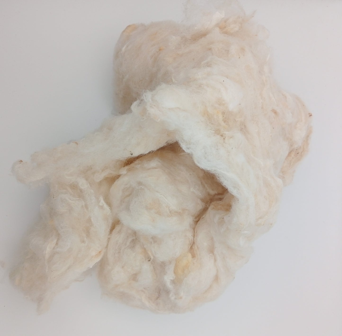 Cocoon Strippings