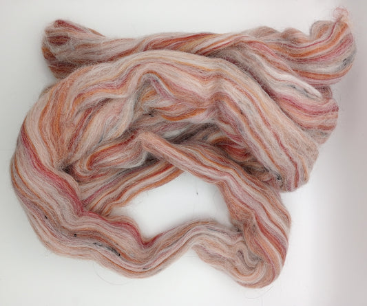 Merino/Aplaca/BFL/Wool/Viscose Nepp 100g combed top