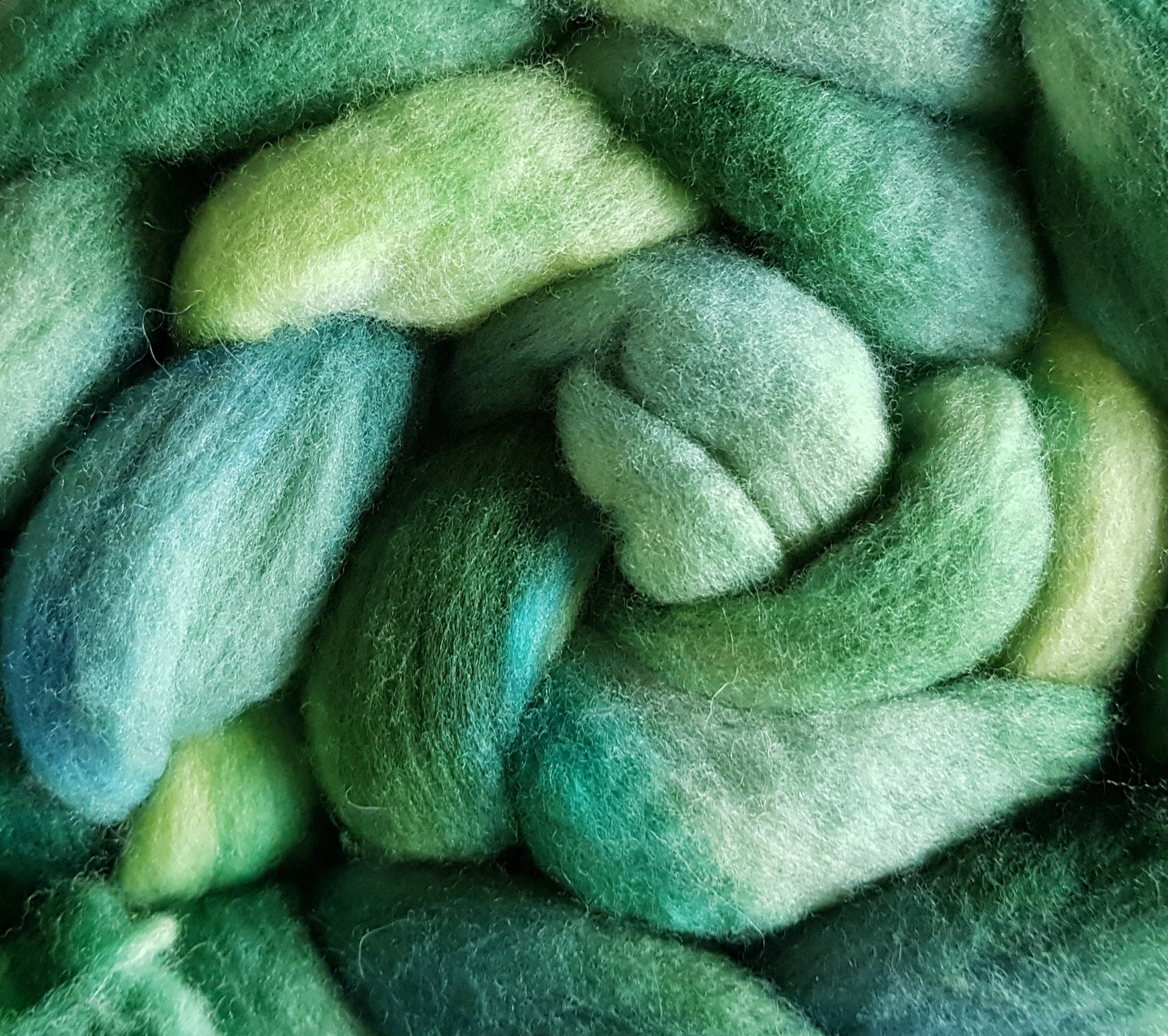 100G Rambouillet luxury hand dyed fibre combed top - "Zuccini"